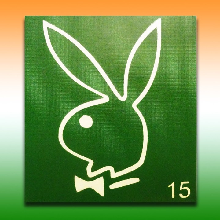 Трафарет для мехенді "Playboy" 7х7 см